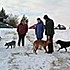 Cvičení 15. 1. 2017