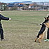 Cvičení a obrany 19.3. 2017