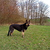 ZDENĚK N.